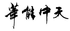 華能中天