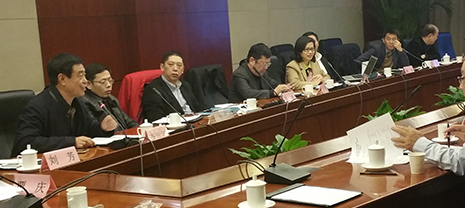 華能中天集團董事長參加聯合國工業發展組織“環境與綠色循環經濟”研討會